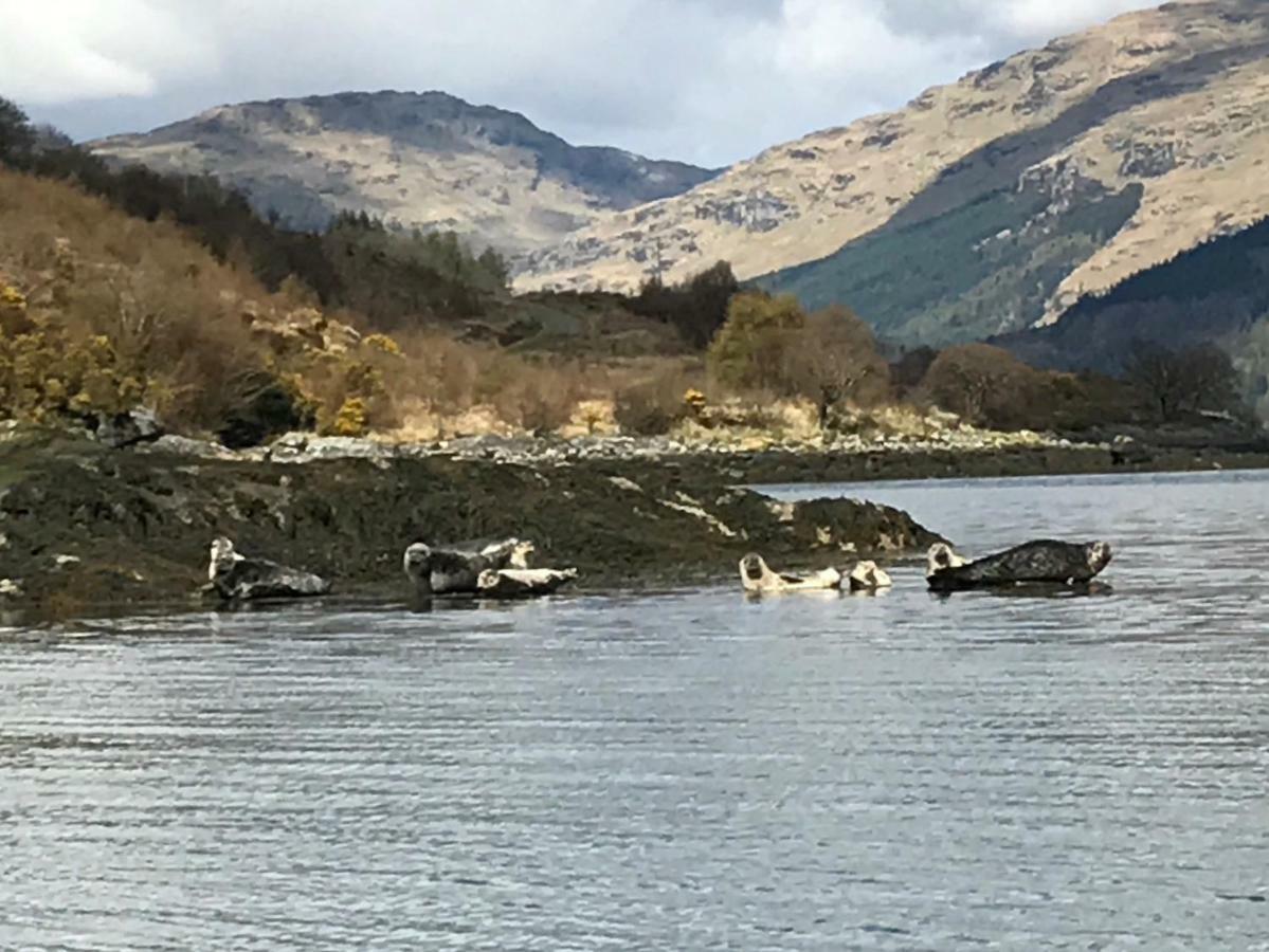 Carrick Farm Hotel Lochgoilhead Bagian luar foto
